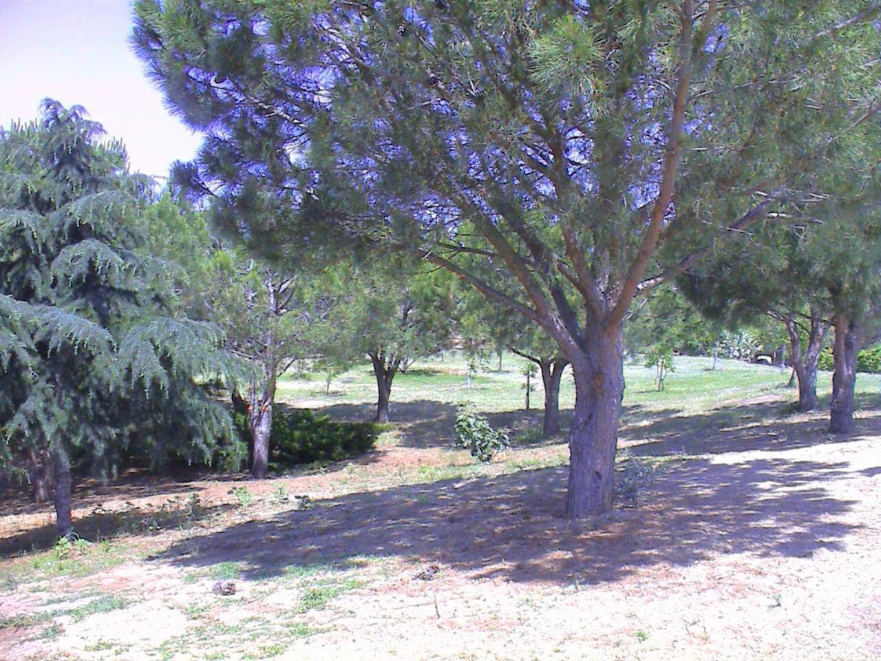 Borgo Piazza Panzió Catanzaro Kültér fotó